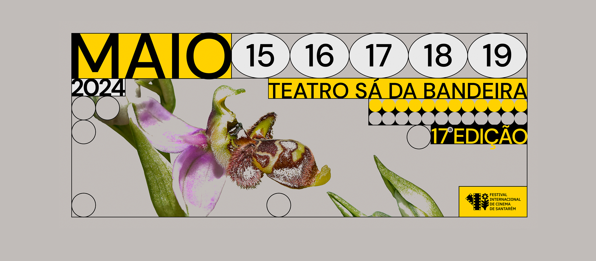 Festival Internacional de Cinema de Santarém